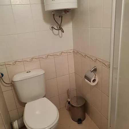 Rose סאני ביץ'