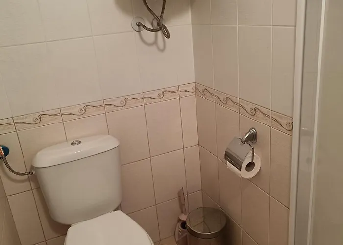 Rose サニービーチ